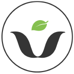 Logo_salad artelier0